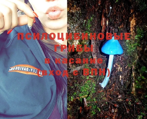 мет Медвежьегорск