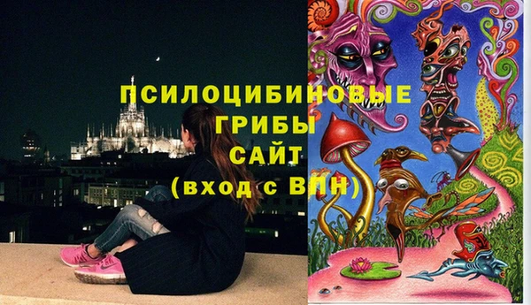 таблы Михайлов