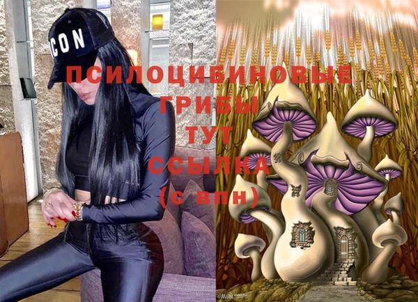 ECSTASY Вязники