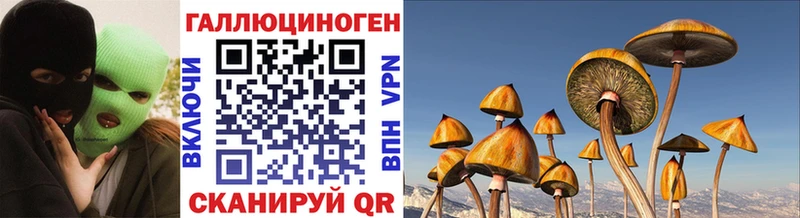 дарк нет Telegram  закладка  Наволоки  Галлюциногенные грибы мицелий 