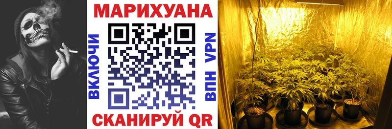МАРИХУАНА VHQ  продажа наркотиков  даркнет официальный сайт  Наволоки 